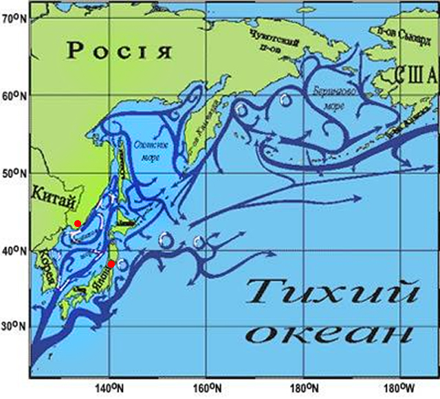 Морских течений действует в тихом океане