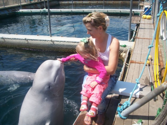 Экскурсия в дельфинарий в Ливадии