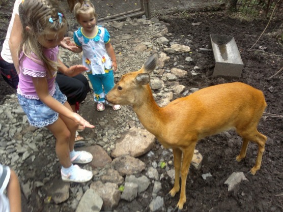 Экскурсии в Приморский сафари-парк