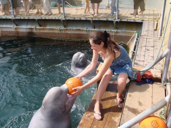 Что посмотреть в Приморье?