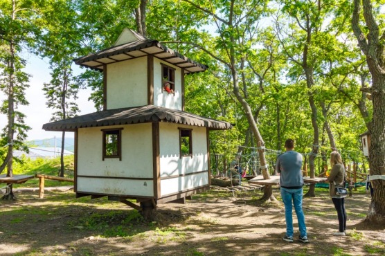 Домики на деревьях