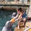Дельфинарий в п. Ливадия