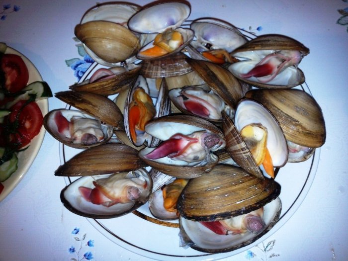 Ужин из морских ракушек 2012. Отдых в Приморье.