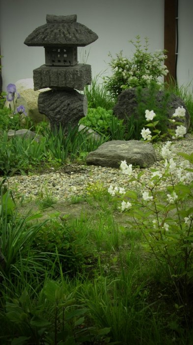 Японский сад 2012. Отдых в Приморье.