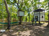 Домики на деревьях в веревочном городке