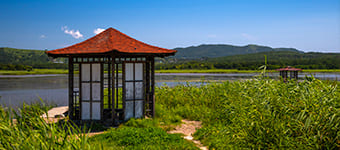 Публикации Публикации